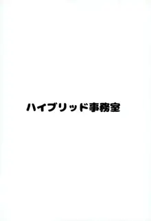 ハイブリッド通信vol.28, 日本語