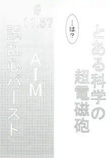 AIM誤乱心バースト, 日本語