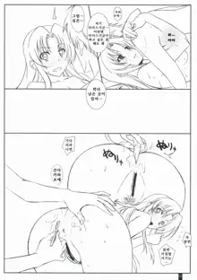 Fluffy AmiAmi | 살랑살랑아미아미, 한국어