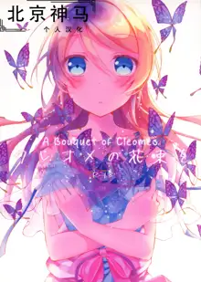 Cleome no Hanataba o | A Bouquet of Cleomes, 中文