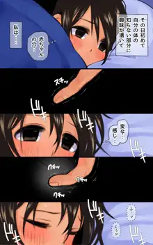 真夜中の姉妹姦, 日本語