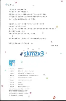 skmzx3, 日本語