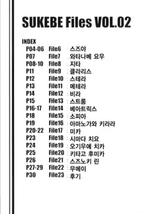 SUKEBE Files VOL.02, 한국어