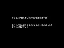 カメラに映る私は誰?, 日本語