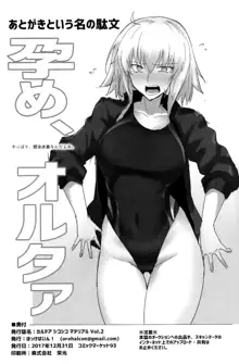 Chaldea Shiko Shiko Material Vol. 2, 中文