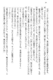 僕には家事妖精なメイドがいます, 日本語