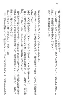 僕には家事妖精なメイドがいます, 日本語