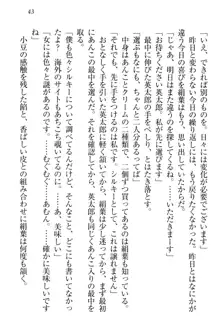 僕には家事妖精なメイドがいます, 日本語