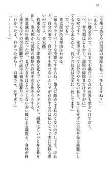 僕には家事妖精なメイドがいます, 日本語