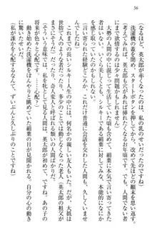 僕には家事妖精なメイドがいます, 日本語