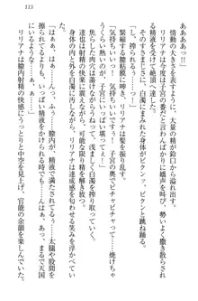 我が家のリリアナさんと夏休み!, 日本語