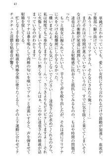 我が家のリリアナさんと夏休み!, 日本語