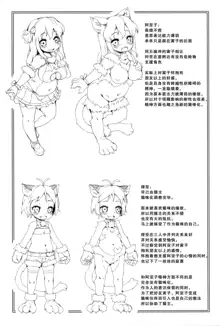 Neko Ochi Shine Fairies, 中文