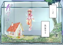 フェアリープラネット☆妖精の愛し方全部教えます, 日本語