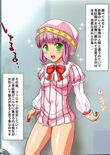 フェアリープラネット☆妖精の愛し方全部教えます, 日本語