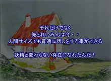 フェアリープラネット☆妖精の愛し方全部教えます, 日本語