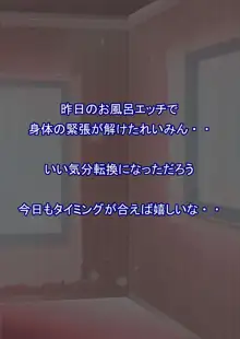 フェアリープラネット☆妖精の愛し方全部教えます, 日本語