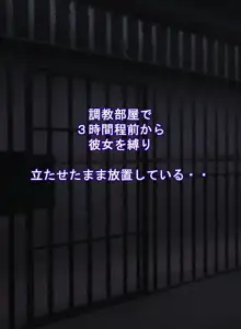 フェアリープラネット☆妖精の愛し方全部教えます, 日本語