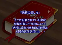 フェアリープラネット☆妖精の愛し方全部教えます, 日本語