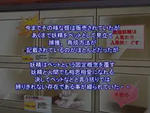 フェアリープラネット☆妖精の愛し方全部教えます, 日本語