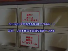 フェアリープラネット☆妖精の愛し方全部教えます, 日本語