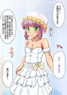 フェアリープラネット☆妖精の愛し方全部教えます, 日本語