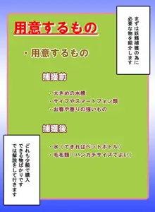 フェアリープラネット☆妖精の愛し方全部教えます, 日本語