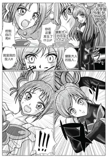 Mou Hitotsu no Ketsumatsu ~Henshin Heroine Kairaku Sennou Yes!! Precure 5 Hen~ | Another Conclusion, 中文