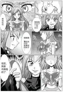 Mou Hitotsu no Ketsumatsu ~Henshin Heroine Kairaku Sennou Yes!! Precure 5 Hen~ | Another Conclusion, 中文