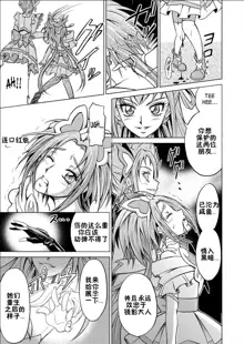 Mou Hitotsu no Ketsumatsu ~Henshin Heroine Kairaku Sennou Yes!! Precure 5 Hen~ Daisanwa | Another Conclusion 3, 中文