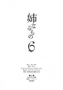 Ane Naru Mono 6 | An Elder Sister 6, English