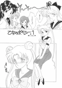 PRETTY SOLDIER SAILOR MOON F, 日本語