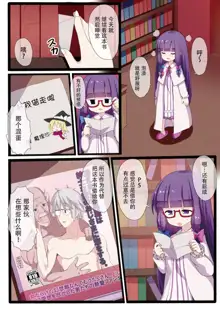 Patchouli Knowledge wa Dosukebe nano ka??, 中文