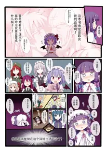 Patchouli Knowledge wa Dosukebe nano ka??, 中文