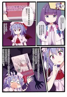 Patchouli Knowledge wa Dosukebe nano ka??, 中文