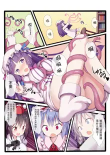 Patchouli Knowledge wa Dosukebe nano ka??, 中文