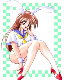 Sailor Bunny Gashuu Sono Ichi, 日本語