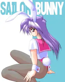 Sailor Bunny Gashuu Sono Ichi, 日本語