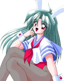 Sailor Bunny Gashuu Sono Ichi, 日本語