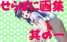 Sailor Bunny Gashuu Sono Ichi, 日本語