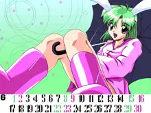 Sailor Bunny Gashuu Sono Ichi, 日本語