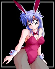 Sailor Bunny Gashuu Sono Ichi, 日本語