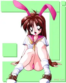 Sailor Bunny Gashuu Sono Ichi, 日本語