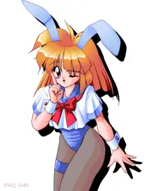 Sailor Bunny Gashuu Sono Ichi, 日本語