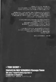 TRUE SECRET, 日本語