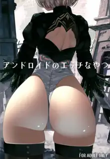 Android no Ecchi na Yatsu, 中文