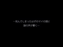 ミラクル☆マイちゃん, 日本語