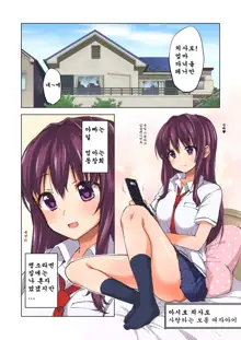 Chii-chan Kaihatsu Nikki, 한국어