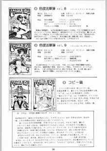 色欲法華弾 10, 日本語