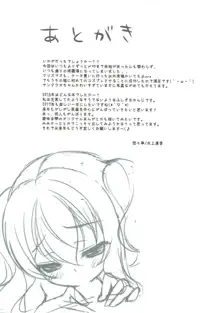 鹿島さんの報告書, 日本語